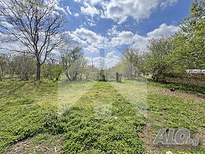 image_12