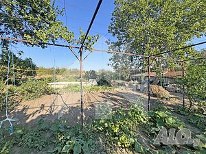 image_8