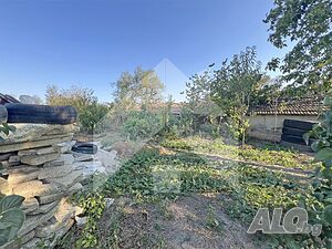 image_11