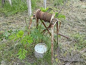 image_7