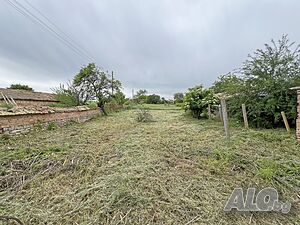 image_9