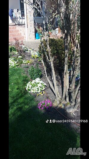 Озеленяване и подръжка