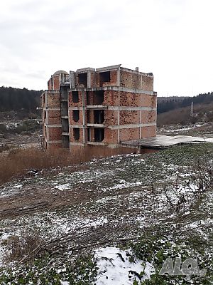 image_5