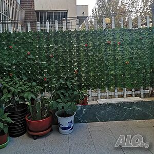 image_10