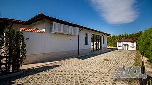 image_8
