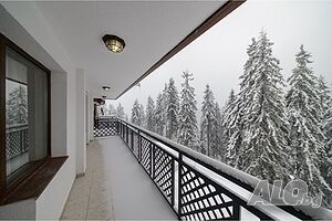 image_10