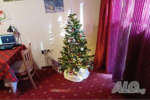 image_2