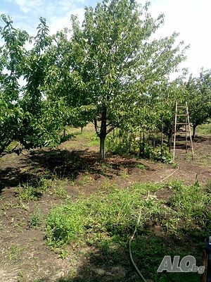 image_12