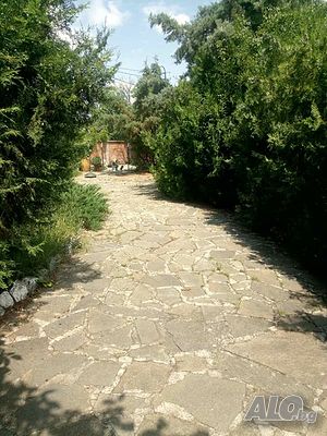 image_13