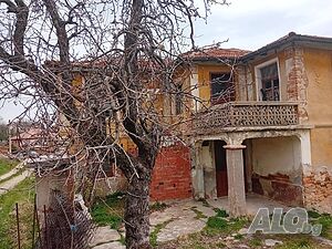 image_3
