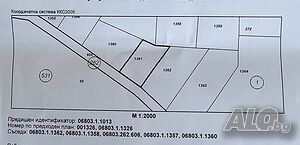image_5