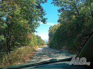 image_6