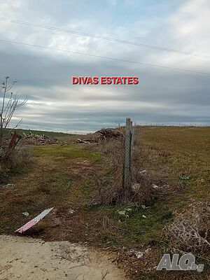 image_6