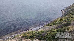 image_14