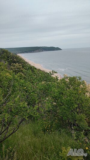 image_15