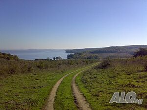 image_2