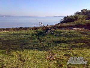 image_6