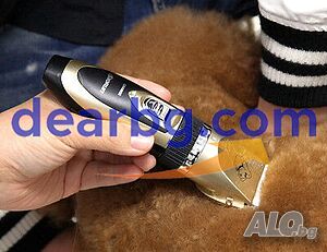 image_7