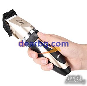 image_2