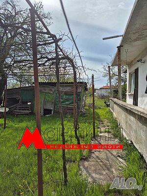 image_11