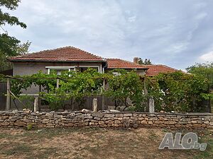 image_3