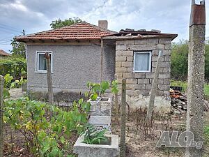 image_11