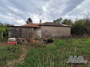 image_12
