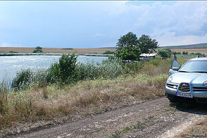 image_8