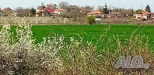image_13
