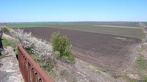 image_9