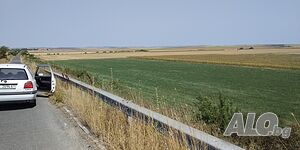image_7