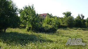 image_9