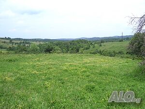 image_10