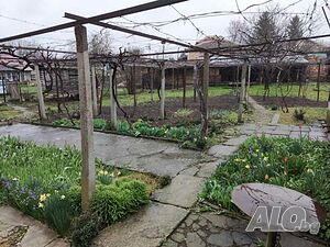 image_5