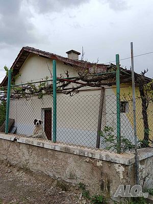 image_2