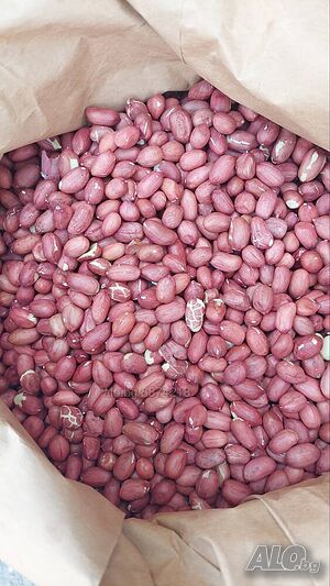 Продавам български американски и китайски фъстъци