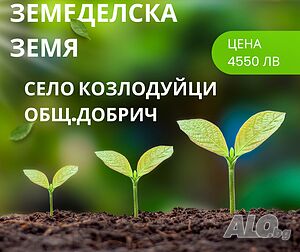 Земедлска земя 86 дка в село Козлодуйци общ. Добрич