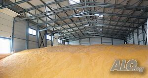 image_9