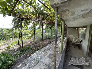 image_6