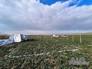 image_10