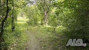 image_9