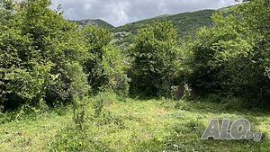 image_11