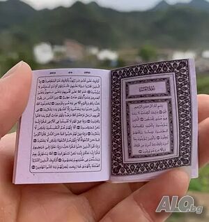 image_3