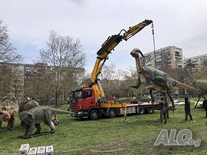 image_14