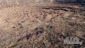 Продажба Парцел гр. Шумен - с. Илия Блъсково 1550m²