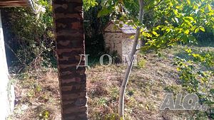 image_9