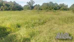 Продажба Парцел гр. Нови пазар - с. Преселка