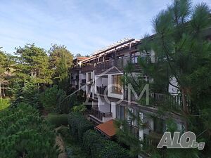 image_15