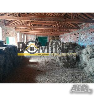 image_6