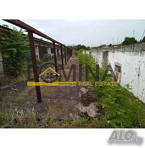 image_9
